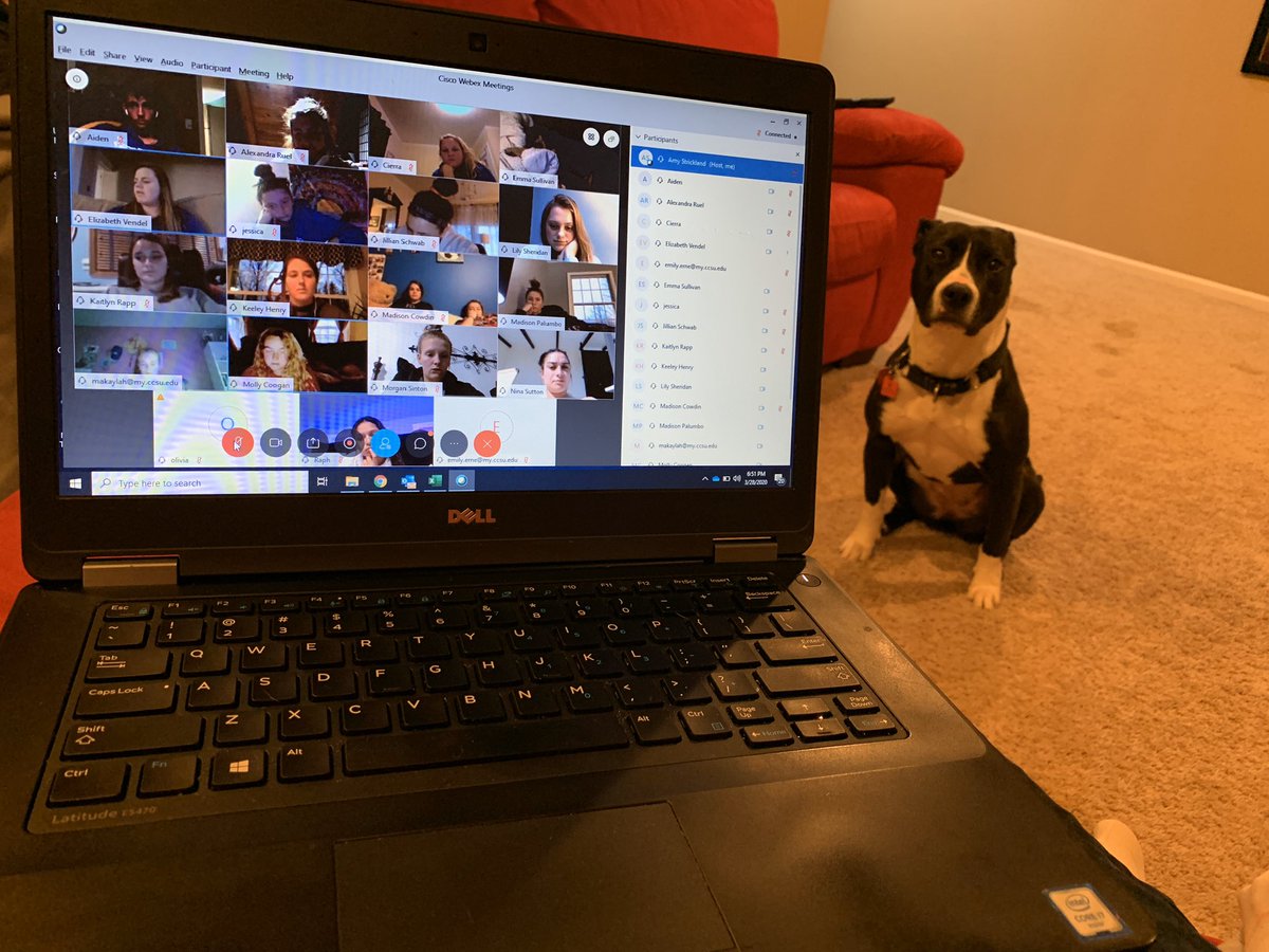 Moxie and I enjoyed hanging out with <a href="/CCSUWLAX/">CCSUWLAX</a> 💙 Missing all of our teams. #BlueDevilswillBback