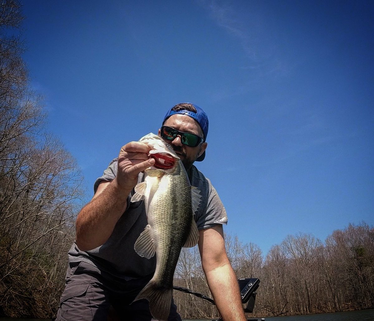 dude_lets_fish's tweet photo. Good day on the water, no biggies but if it tugs set the hook suckas . #dudeletsfish #gooddaytater #bassfishing #virginia #flatbottomboys #jonboat #lesdodis @Lews_Fishing #denalirods https://t.co/8jtiT5jKHC