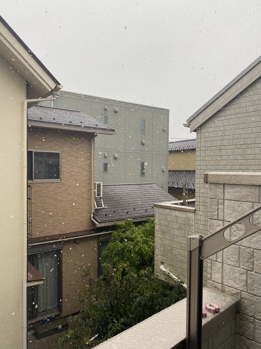 eri_pmpm's tweet image. พีคคคคคคคค โตเกียวหิมะตกปลายเดือนมีนา !!! หิมะจริงไม่จกตามาเป็นเกล็ดๆเลย อยู่มา 6-7 ปีไม่เคยพบเคยเจอ 🌨☃️❄️