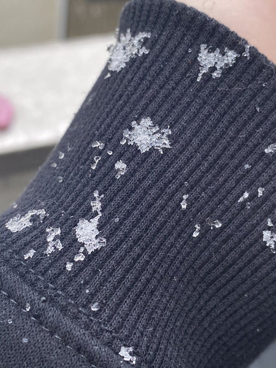 eri_pmpm's tweet image. พีคคคคคคคค โตเกียวหิมะตกปลายเดือนมีนา !!! หิมะจริงไม่จกตามาเป็นเกล็ดๆเลย อยู่มา 6-7 ปีไม่เคยพบเคยเจอ 🌨☃️❄️