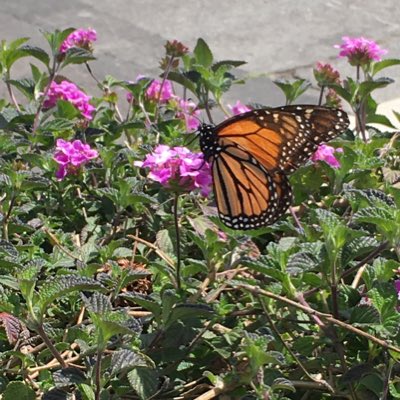 JuliaFarsadi's tweet photo. #NewProfilePic https://t.co/sjI132aDKu