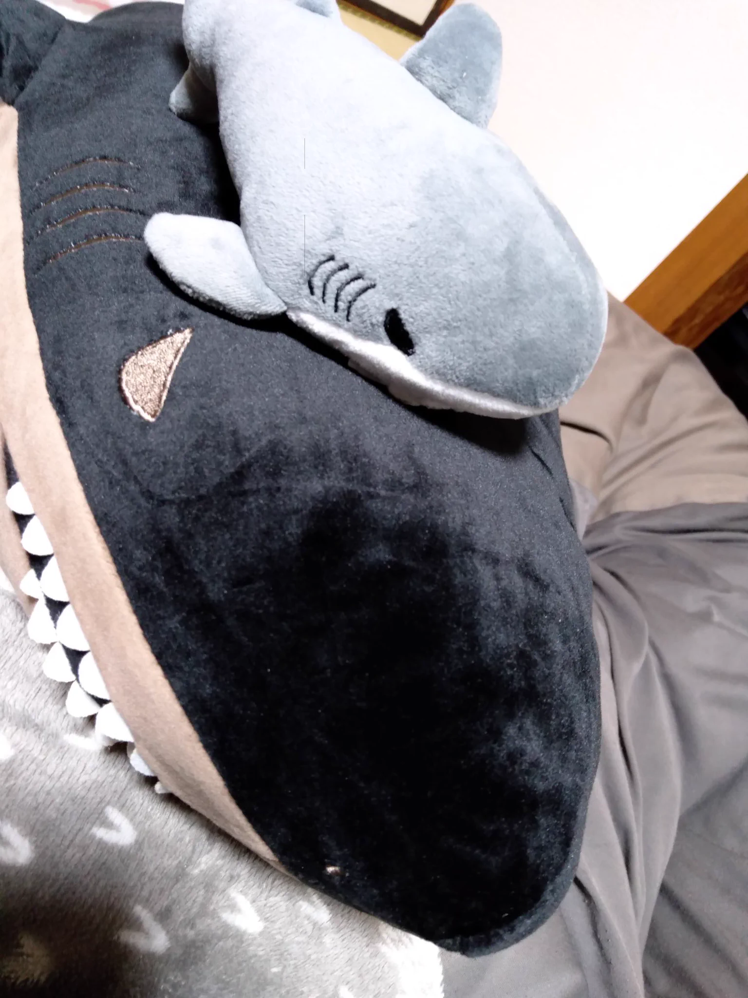 @tonkotu0621 さめ戦艦です 