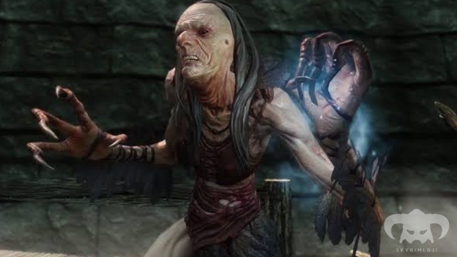 Hagravens'ler Skyrim'de görülen en çirkin ve kötücül yaratıklardan birisidir. Herbalist'in Skyrim Rehberi'ne göre, önceden insan olan bu yaratıklar, insanlıklarını güçlü büyülere erişmek için takas ediyorlar. Takas sonucunda, yarı insan, yarı kuş şeklindeki yaratığa dönüşüyorlar.