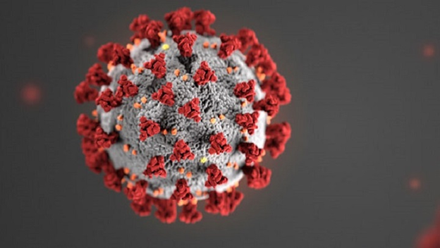 Before we dive into how the tests work, it’s important to know a little bit about how the molecules are arranged in a virus. Coronavirus is made up of a spherical protein coat with all of those spikes attached to it.