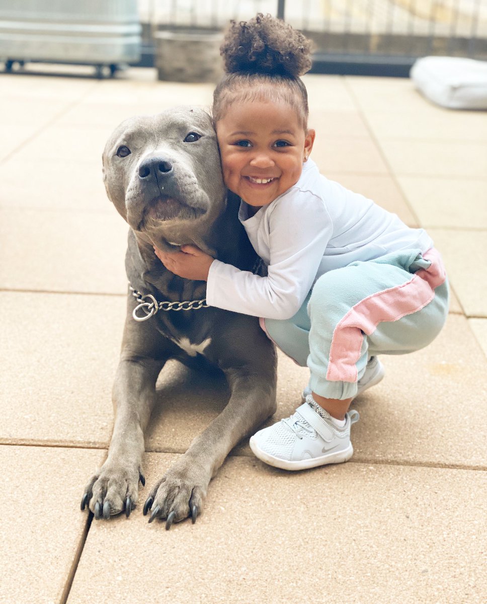 Princess_JMN's tweet photo. 🐶💕 https://t.co/UDWdrzwqvF