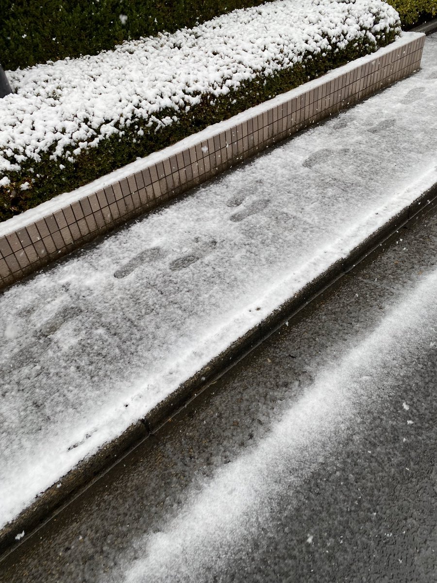 京野七番 雪降ってるじゃない 寒いと思ったわ