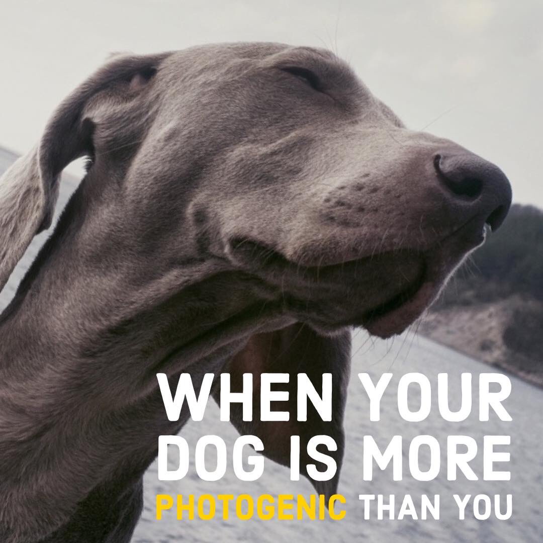 So true 🤣🐾 

Pikepet.com 

#SaturdayMorning #pikepa #nepa