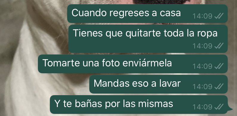 tiramipussi's tweet photo. Síganme para más tips para protegerse del coronavirus: https://t.co/QQpjrrsfGf