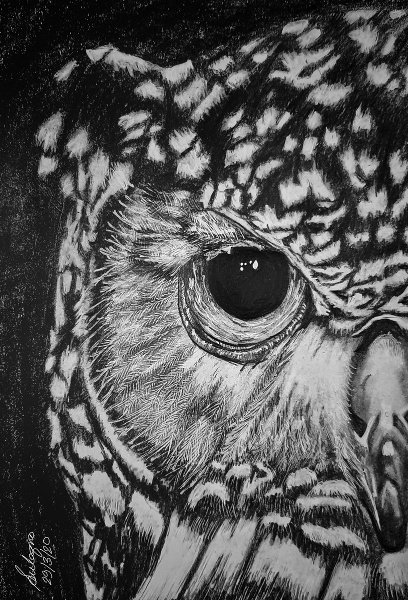 logzhere's tweet image. 🦉🤎

#owl #sketchup #Lockdown21 #India #creativequarantine