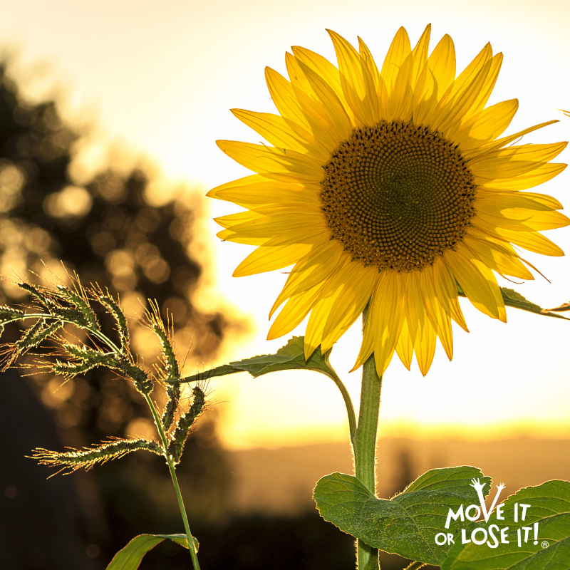 moveitorloseit1's tweet image. Spring Forward, Fall Back 🌞

Don&apos;t forget the clocks go forward which means we can look forward to brighter evenings

#Clockschanging #SpringForwardFallBack