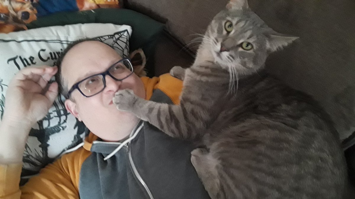joannaspringer's tweet photo. Two weeks into quarantine and things have gotten weird #QuarantineCats https://t.co/aTXy58URyf