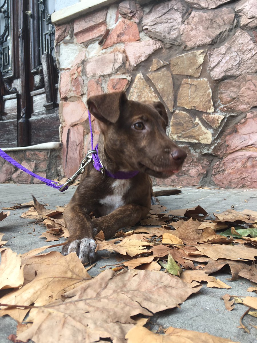 Gonzalo (@gonp05) on Twitter photo 