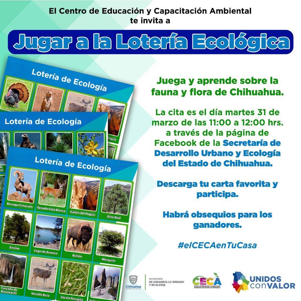 TSustentab's tweet photo. Para mantener la Sana Distancia, te invitamos a jugar a la lotería Ecológica, con nuestros amigos del Centro de Educación y Capacitación Ambiental de la SDUE del Gob. del Estado de Chihuahua. https://t.co/cdqogWMDAc