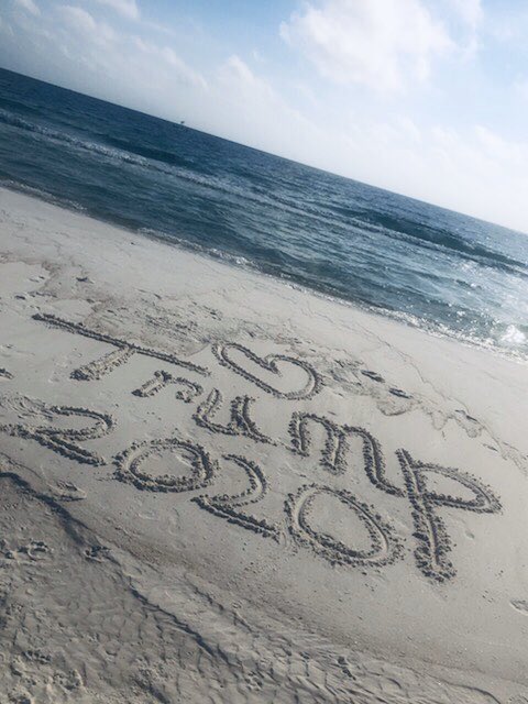 DixiegalCindy's tweet photo. @realDonaldTrump https://t.co/snFaXuB314