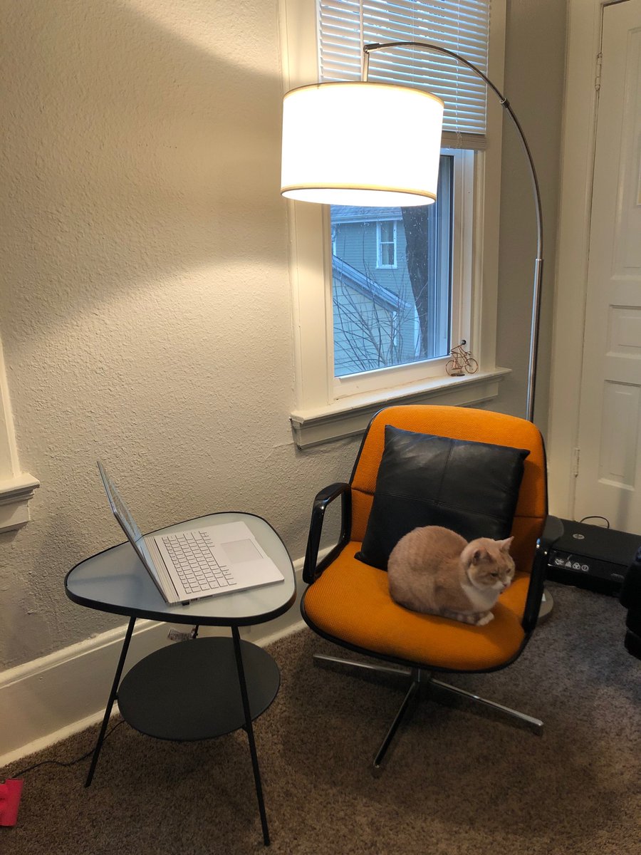 pah_la's tweet photo. My #WorkFromHome setup! All I need is some good lighting and a comfy chair. Thanks to 
@MUEngineering
 for letting me snag this old office chair from the 3rd floor of Olin before being thrown out. Phoebe the cat loves it too :) https://t.co/E0i25Qv9KT