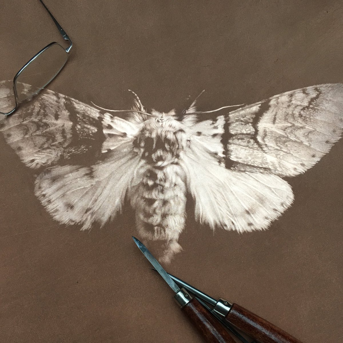 'The lyf so short, the craft so long to learn .' #geoffreychaucer #mezzotint #sallowkitten #moth