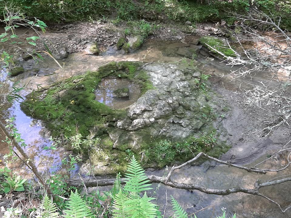 PerkinsPC26's tweet photo. Hey @RealScottWolter any idea what this could be? It was found in the bottom of stream somewhere in Mississippi. https://t.co/HOCM5CTKkI