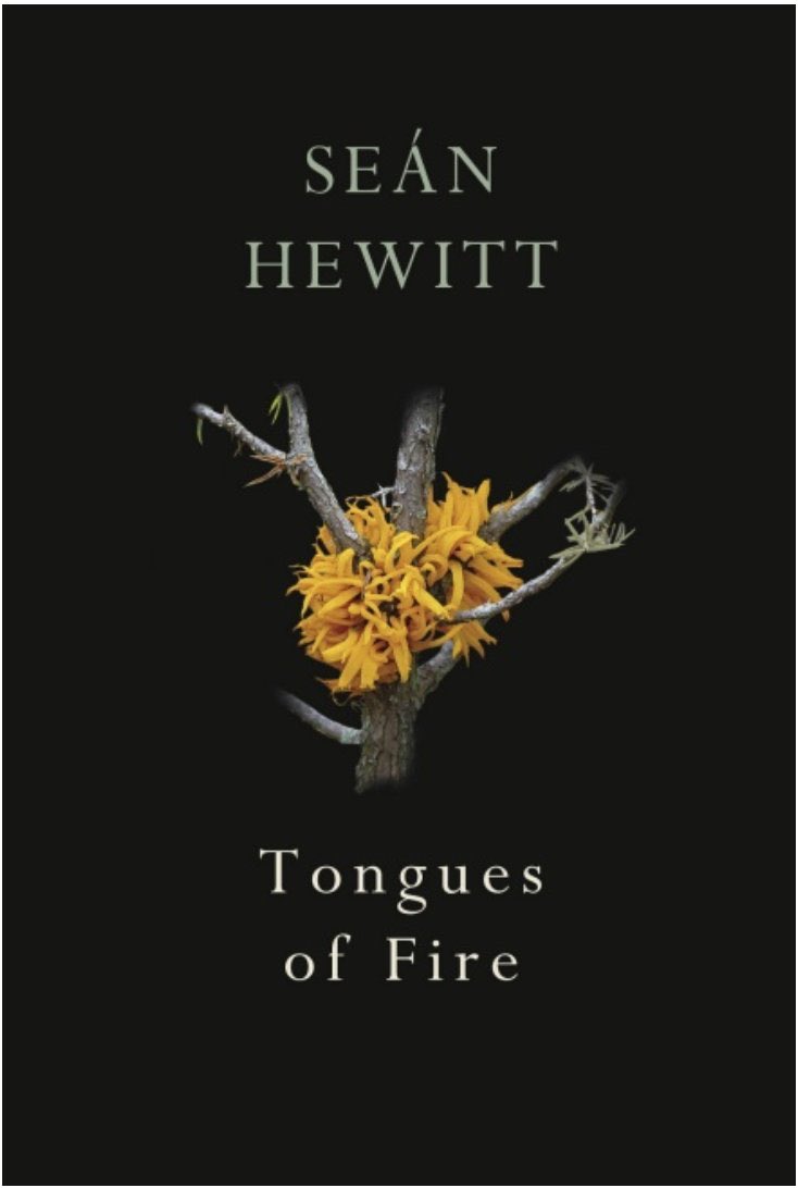 Taaait's tweet image. Today I spent a cosy afternoon in the company of #TonguesofFire. @seanehewitt’s debut collection gave me a sense of how he views the rhythms of nature and loss; the ways in which humans are capable of admiring/trespassing on the natural world. Published 23/04/20.