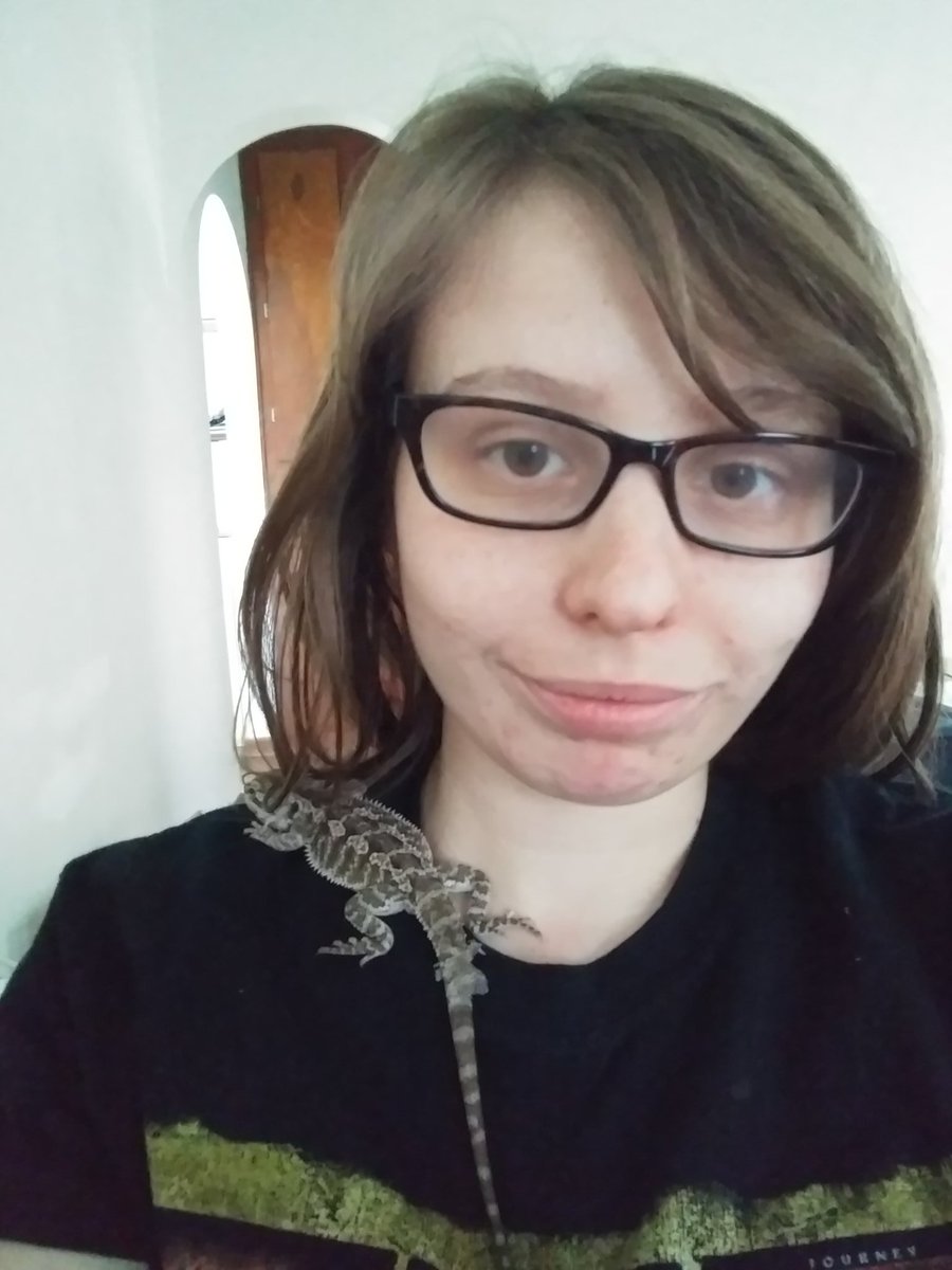 CharmanderGurl's tweet photo. #BearedDragon #Snuggles #BeardieMomma #Shed https://t.co/v2nrX1KRU1