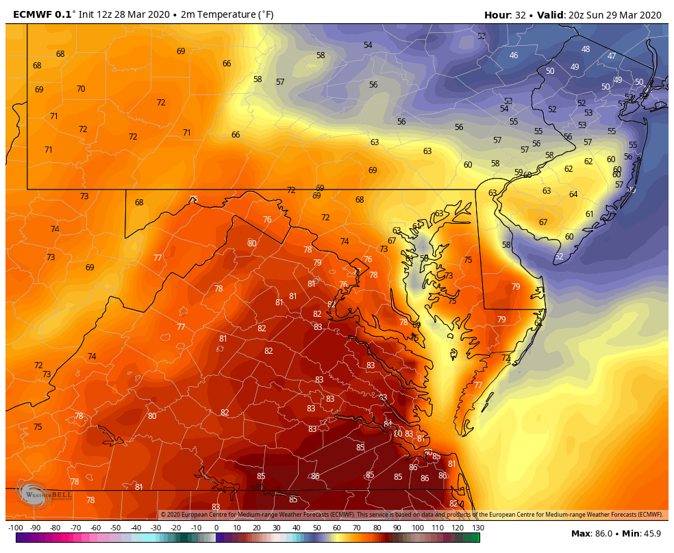 BenAmesWx's tweet photo. Tomorrow will be a wild weather day here on Delmarva! Temperatures to our south and west will approach 85°, while Salisbury will sit closer to 80°. But it's a different story up towards Dover, where temps may not even hit 70°! (ECMWF model at 4 PM tomorrow) #DelmarvaWx #47ABC https://t.co/H0Vv0iMlVh