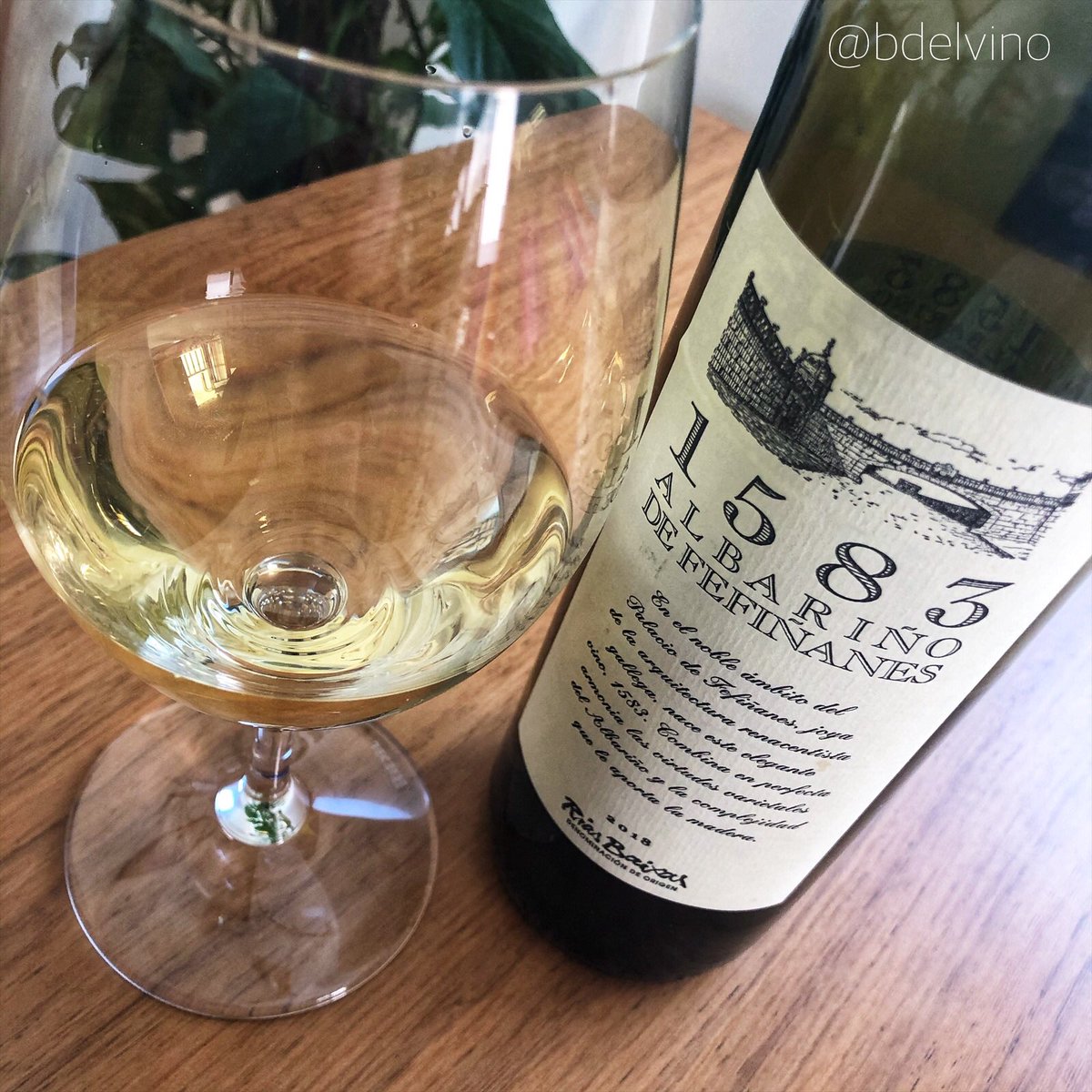 BdelVino_'s tweet photo. De confinamiento nos tomamos un buen @Rias_Baixas y este 1583 de @BFefinanes es un buen ejemplo. Un blanco fermentado en barrica de roble y crianza sobre lías. Conplejo e interesante. añada de 2018 y me gustaría disfrutarlo con más años de Botella aunque ya estaba realmente bueno https://t.co/5oxN9qpzAt