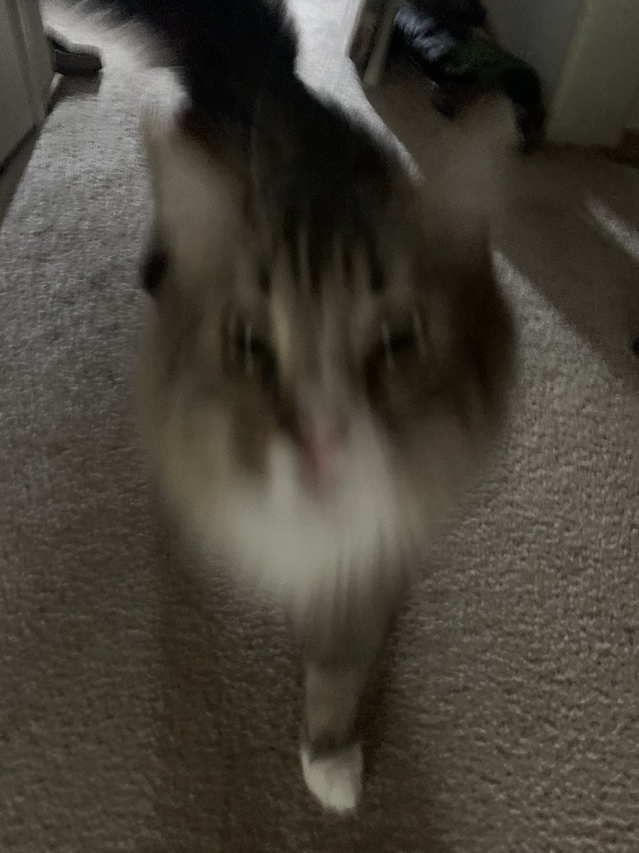 theobigboye's tweet photo. didj u.  Misse me https://t.co/rLA7fxUr0a