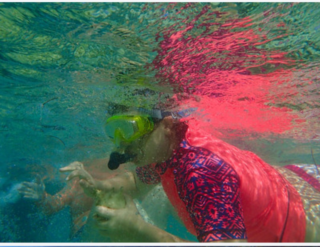 ImpactfulRocks's tweet photo. Day 3 of #7DaysofFieldWork !! This is a good one 👀. In my 3rd year I went to a small island called San Salvador in the #Bahamas 🇧🇸 where we explored coral reefs, karsting, cave systems, hyper saline lakes with stromatolites and more! By far my favorite field experience to date! https://t.co/fcfQdCzmVK