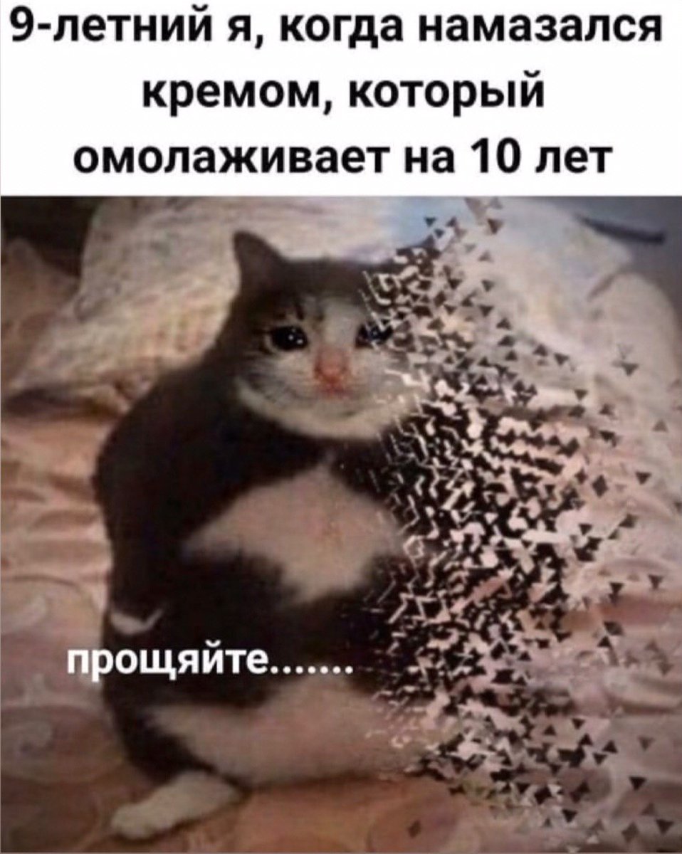 50pets's tweet photo. https://t.co/Of2Q9GQnl6