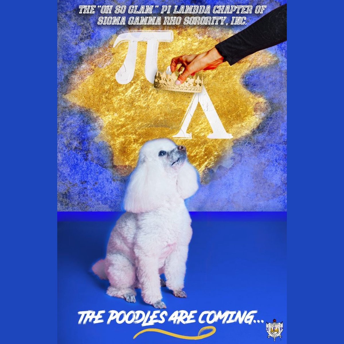 AUMSGRhos's tweet photo. The wait is almost over 🤫😈 https://t.co/qMxHSRQYS8