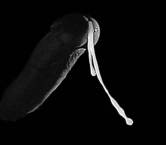 str82fag's tweet photo. So thirsty https://t.co/q1TJpmKt9V