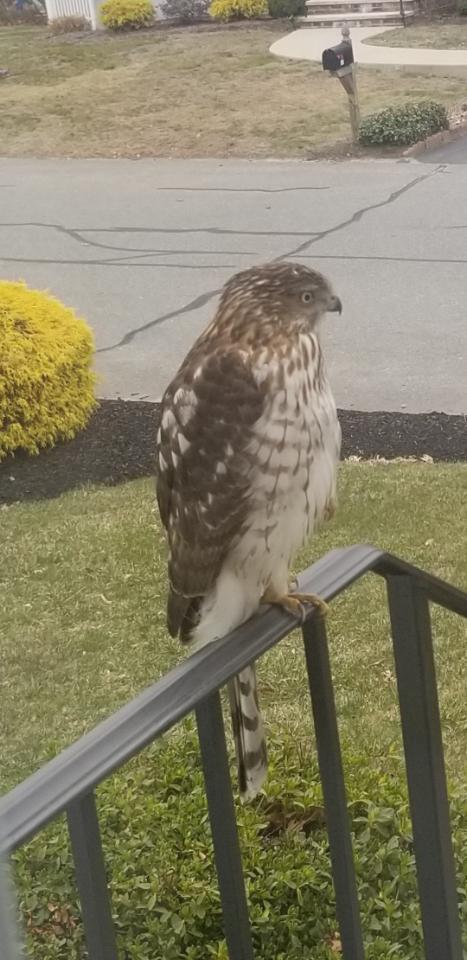 Mrs. Cerundolo tweet media