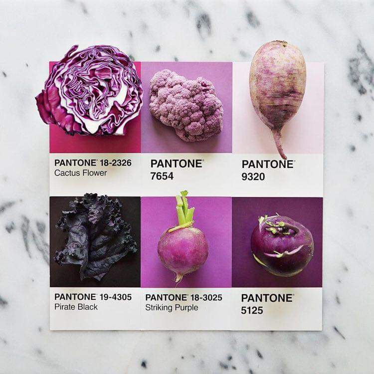danups_'s tweet photo. Les traigo un hilo de pantone biembonito. https://t.co/QuFfL3JUfC