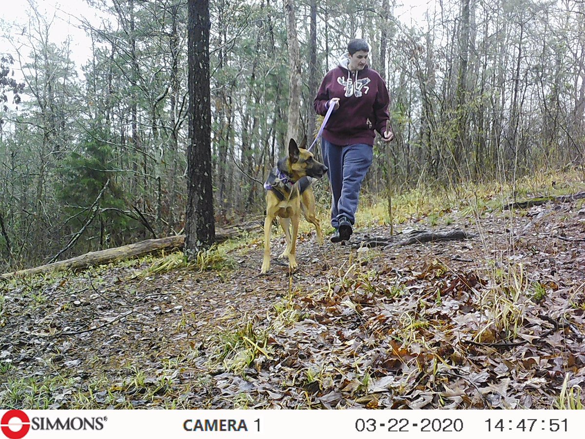 Kaaya95067980's tweet photo. Mommy and me got the game cam cards today and I picked a few. Play a rainy day game please. Retweet how many seconds it takes you to find the chipmunk. #GermanShepherd #DogsofTwittter #chipmu https://t.co/ty6DAeAF9B