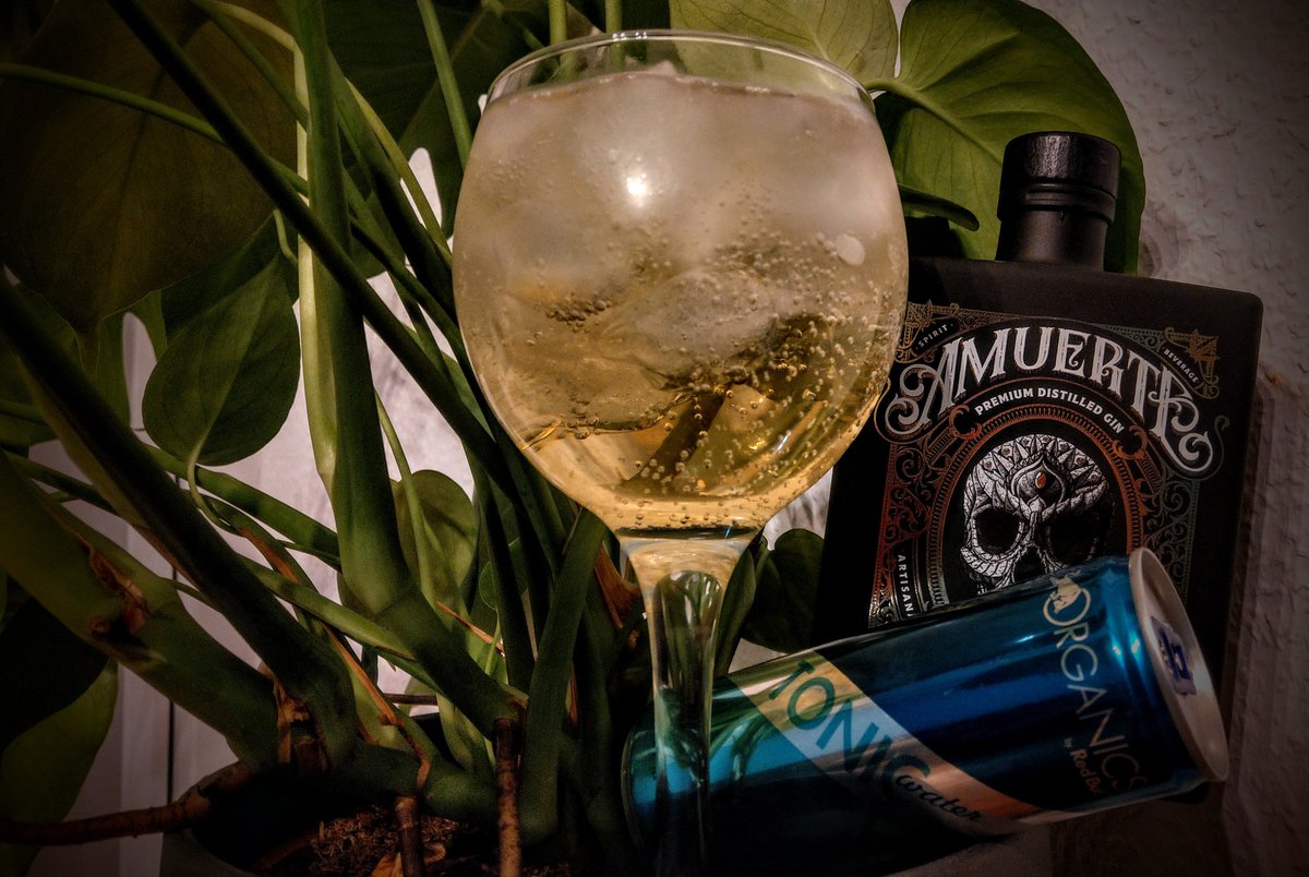 Wacholder stärkt übrigens das Immunsystem. Also sollten alle mehr Gin trinken! Da lebt man gesund! 

#gibdeinemlebeneinengin
#ginfluencer