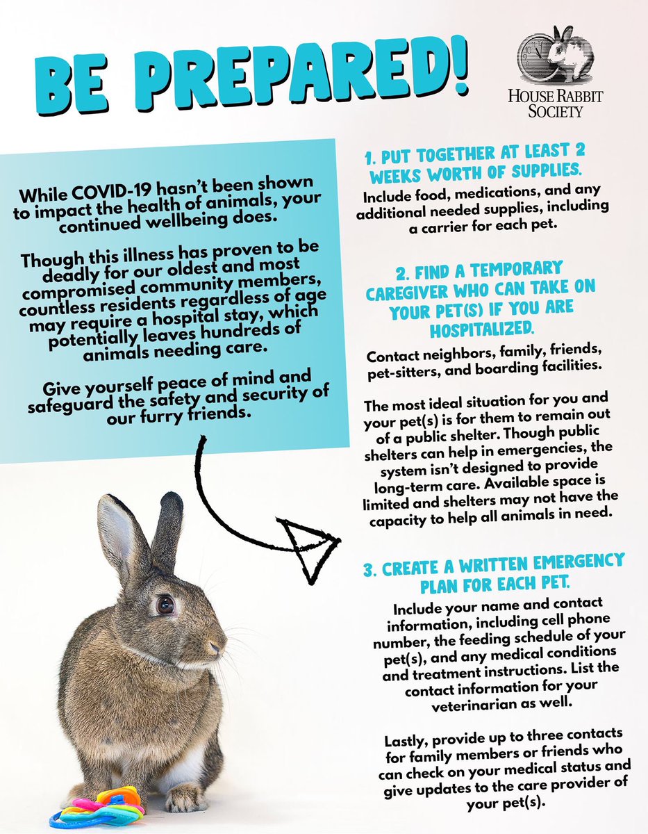 HouseRabbit's tweet photo. While COVID-19 hasn’t been shown to impact the health of animals, your continued health does. 

Some people will require a hospital stay, which may leave their animals needing care. 🐰

For peace of mind &amp; to safeguard your furry friends, learn more: https://t.co/Uj97g21bLI ❤️ https://t.co/dhhPOhEY8I