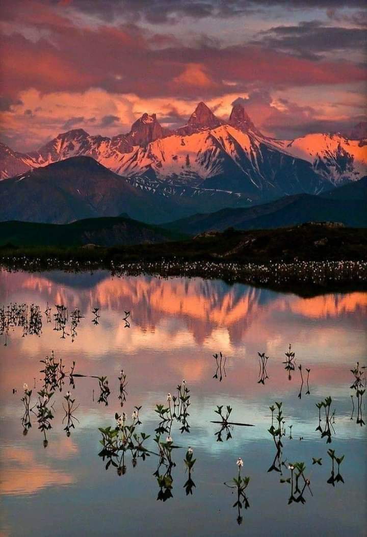 DS_Venus's tweet photo. “@sezginkeskin719: https://t.co/Gqe1vNe9Ip”