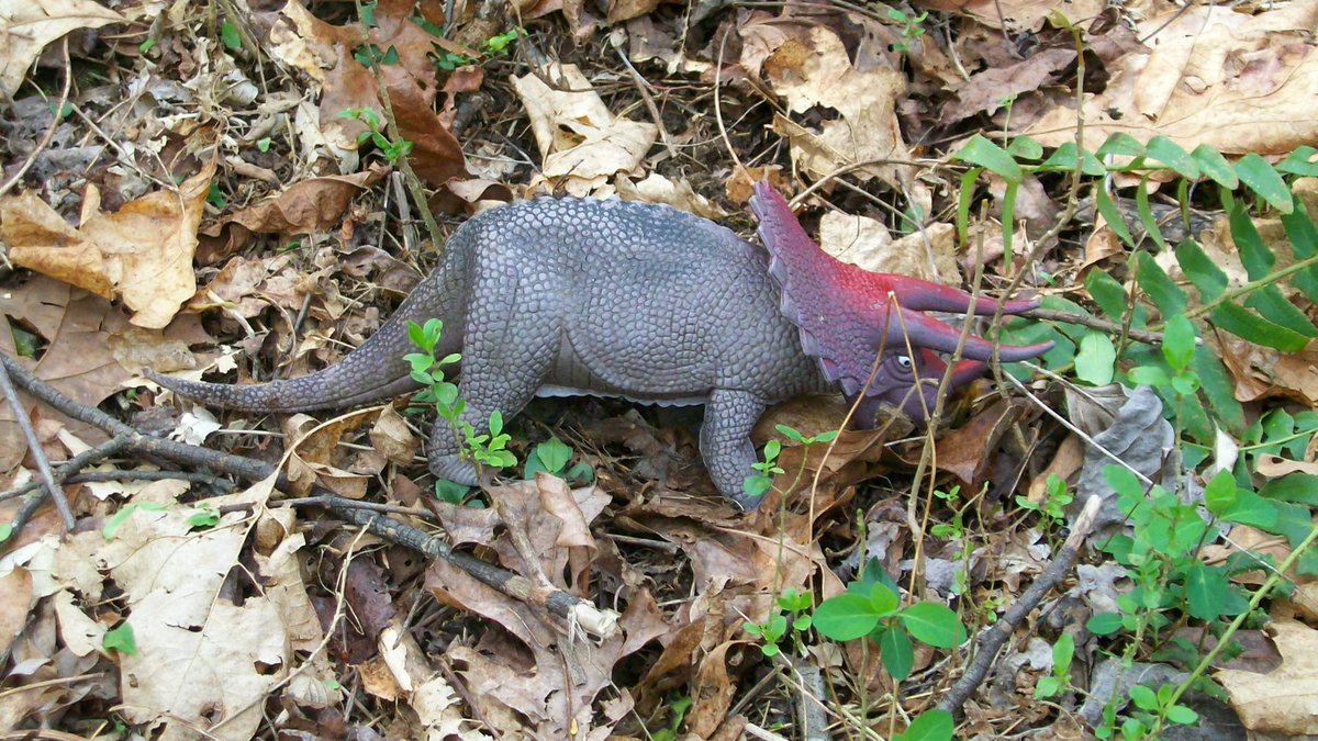 Mark Win1432🐕🐕🐕⚙️🛠 tweet media