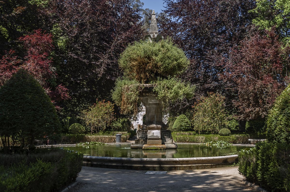 peparinfante's tweet photo. #originalphotos #photography #nikonphotography #NaturePhotography #naturephoto #nature #Naturaleza #Portugal #Coimbra #wheredowegotour
Jardรญn Botรกnico https://t.co/YopwKhhM9K