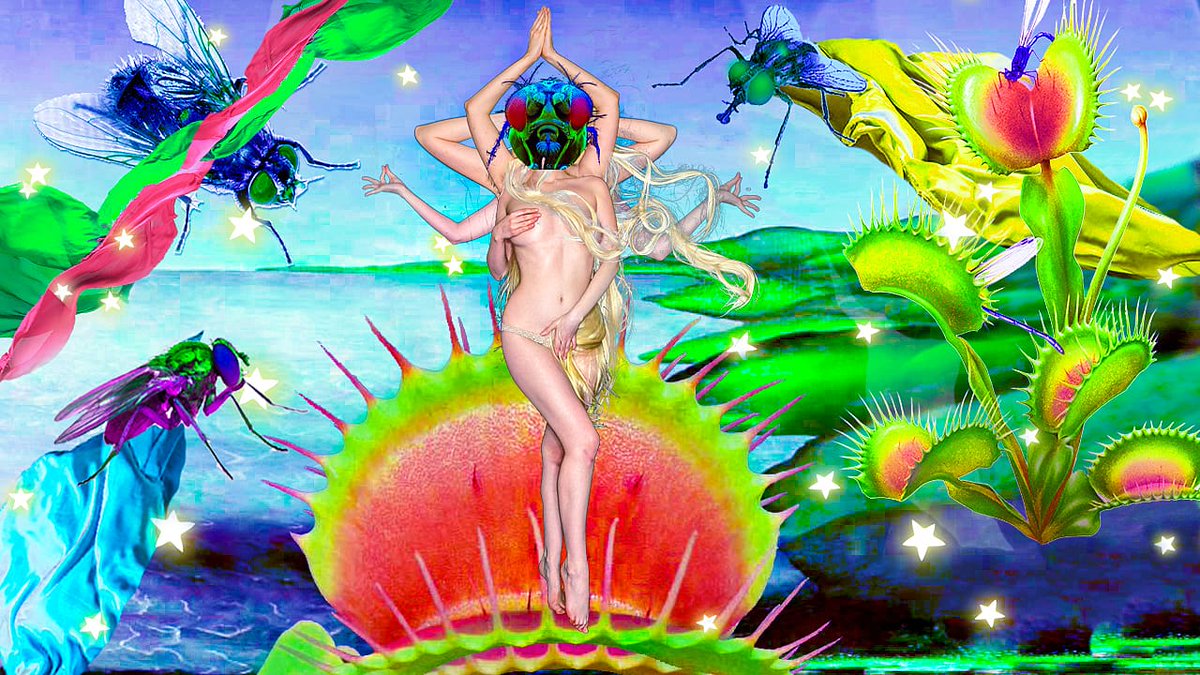 evettesniche's tweet photo. #TheBirthofVenus (#FlyTrap) 🦟🌱🦋
.
.
.
.
#composite #art #birthofvenus #greekmythology #romanmythology #cosplay #Katsucon #concellation2020 #boudoir #boudior #Botticelli #painting #livingart #flies #lordoftheflies #puns #visualpuns https://t.co/ZMmg7uRBIG