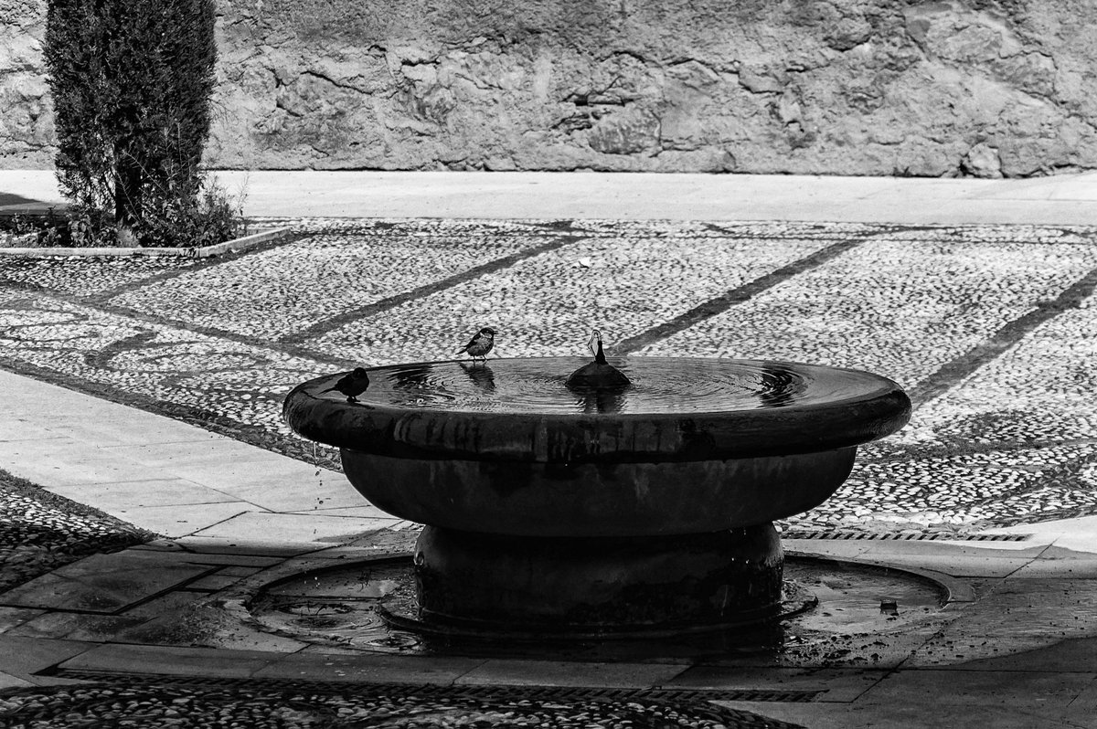 peparinfante's tweet photo. #originalphotos #photography #nikonphotography #NaturePhotography #naturephoto #nature #Naturaleza #Granada #architecturephotography #blackandwhitephotography #wheredowegotour https://t.co/9gPqBC4CAV