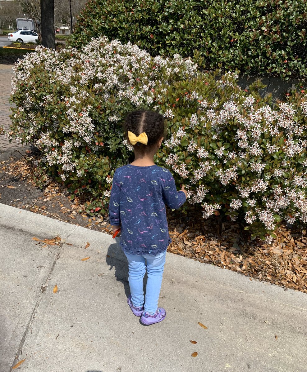 LivasNicole's tweet photo. Oh, #Norfolk how we β€οΈ you! Hope everyone in #hrva is able to get out and enjoy this π€ weather! ππΎββοΈHave a great weekend and stay with @13NewsNow for the latest updates on the #CoronavirusOutbreak #13NewsNow #SocialDistancing @VisitNorfolkVA #strollerstrong @NorfolkDowntown https://t.co/w5769OTBVK