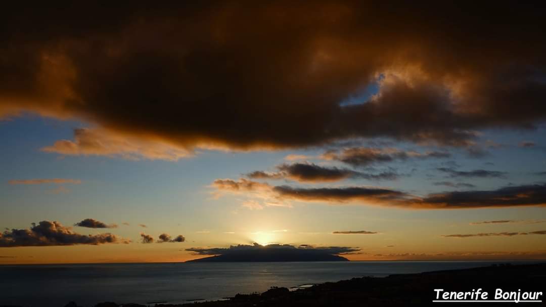 TenerifeBonjour tweet media