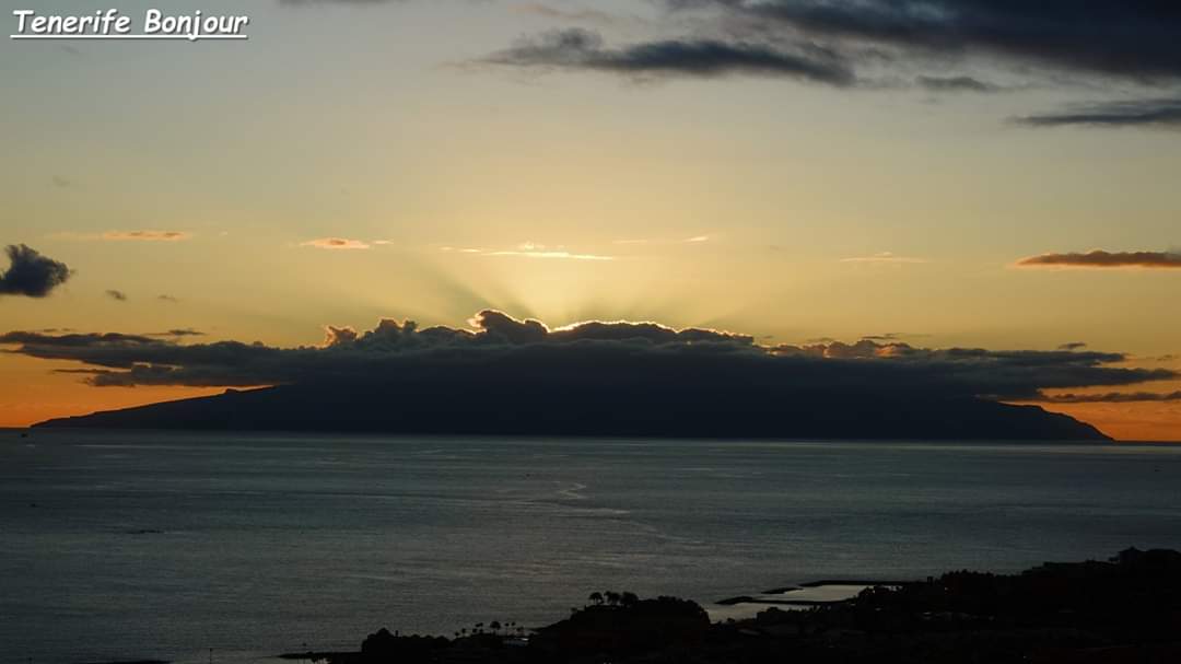 TenerifeBonjour tweet media