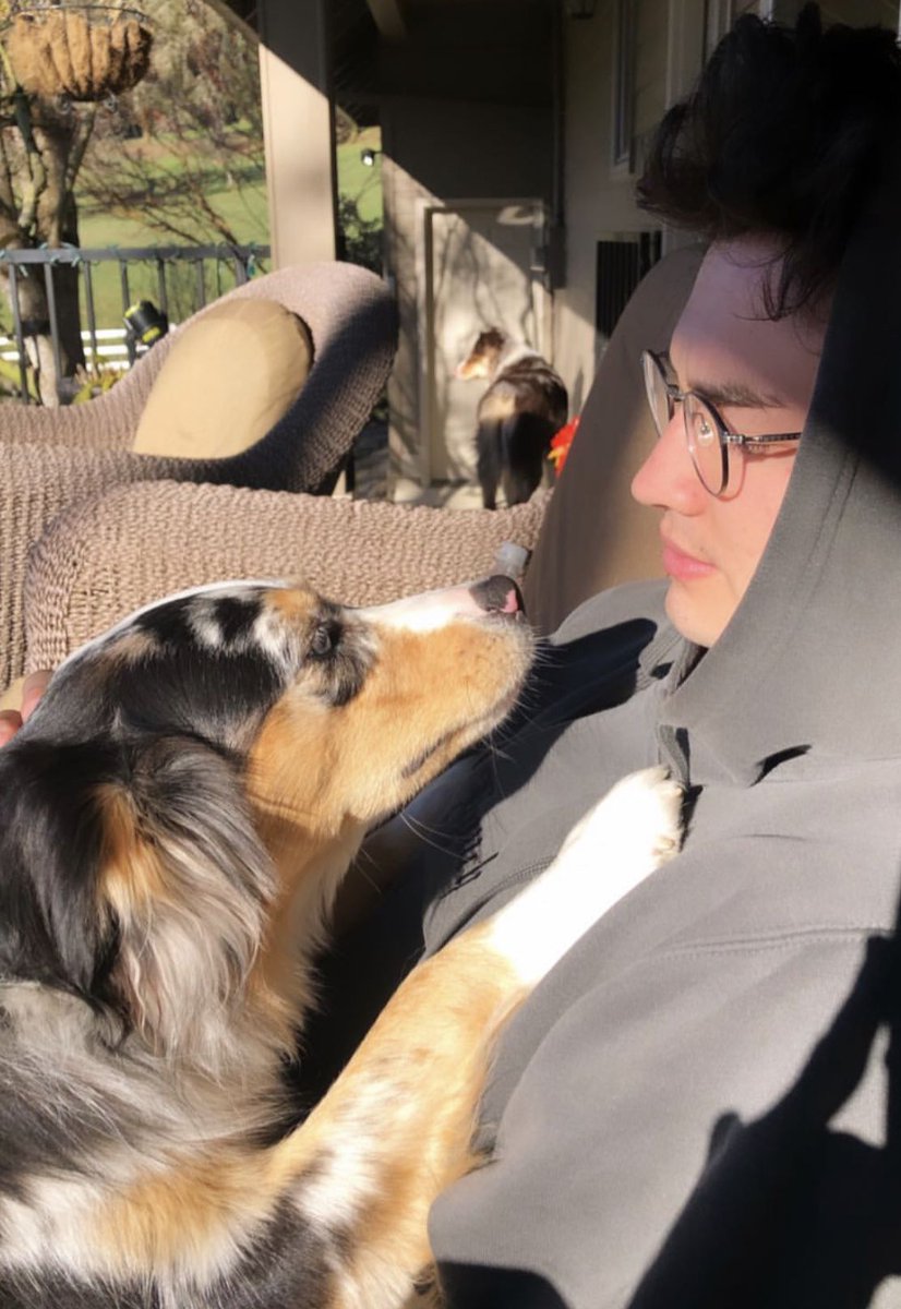 calloftherobins's tweet photo. this is my new friend, his name is Bruce

      who's the alpha now? https://t.co/WTS3eRrE7w