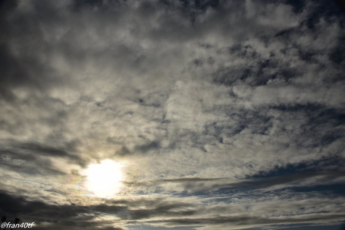 ☀⛅️️fran40 ☔️ tweet media