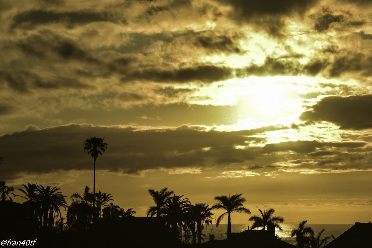 ☀⛅️️fran40 ☔️ tweet media