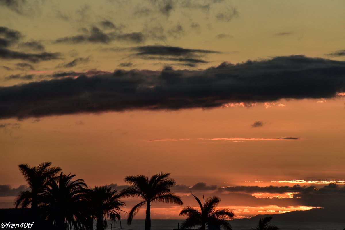 ☀⛅️️fran40 ☔️ tweet media