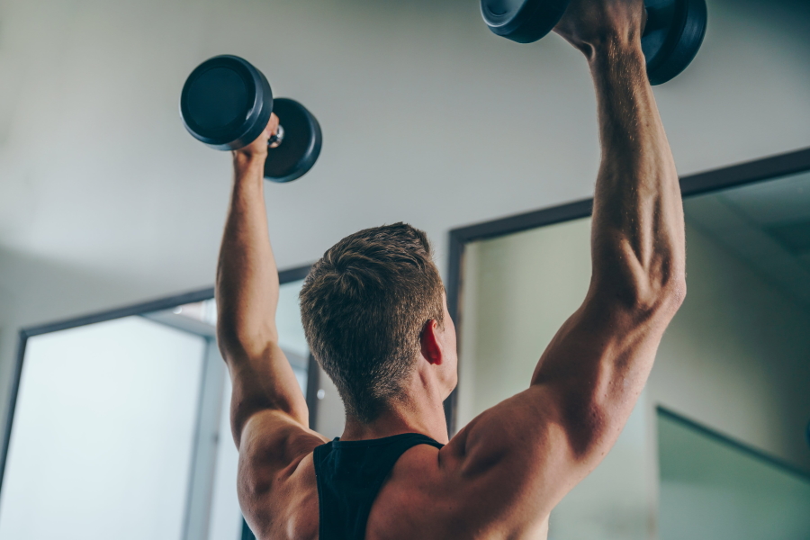AdvBodyMetrics's tweet photo. The PHAT Workout Routine. https://t.co/6N6XYFVI0Y #phatworkout https://t.co/939gzD7D28