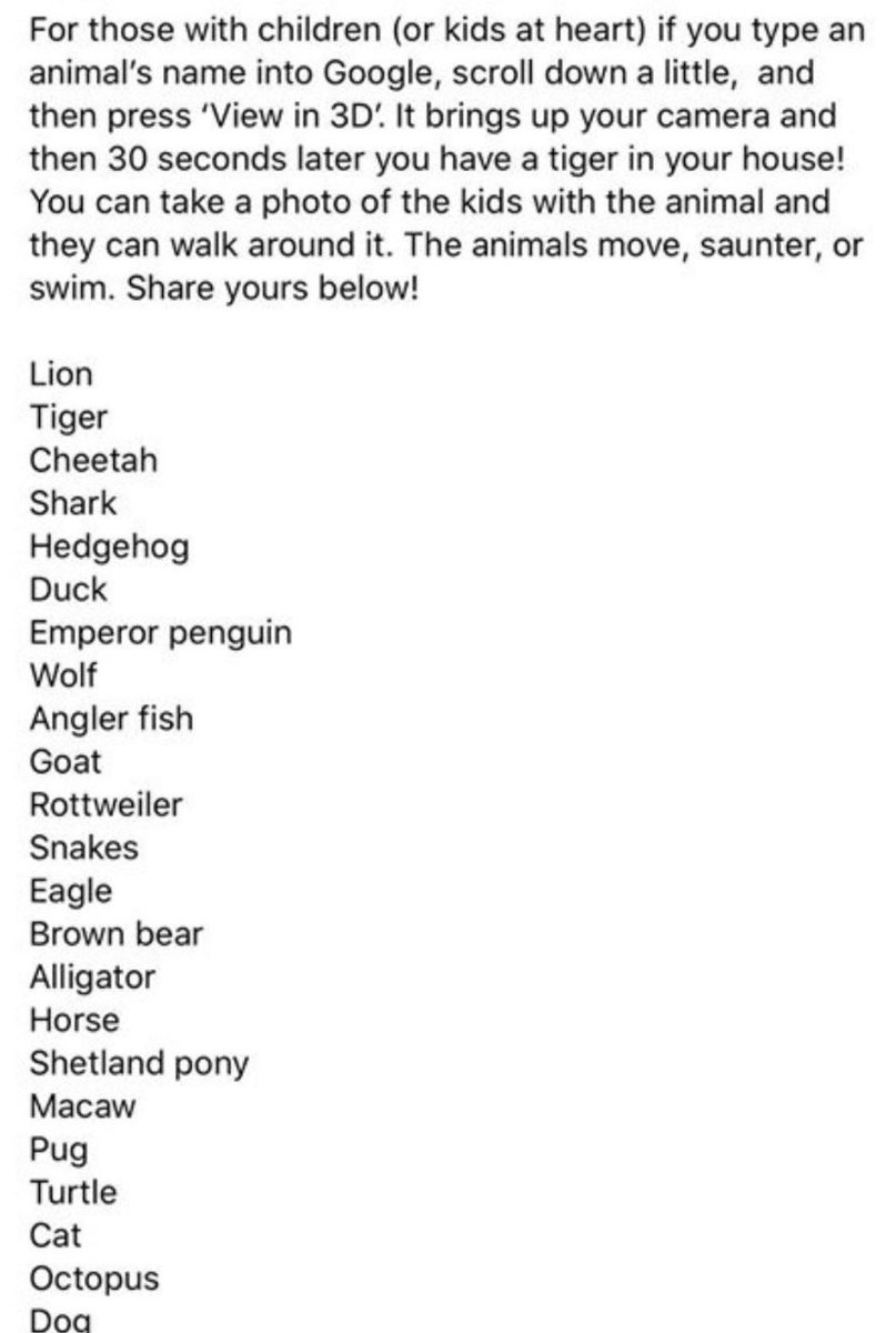 Combsknights's tweet photo. We got some new pets!  Jack and I just had so much fun with this!  I encourage you to try it. Lots of laughter!  ⁦@Kings_Schools⁩ https://t.co/g2D7fYDYB4