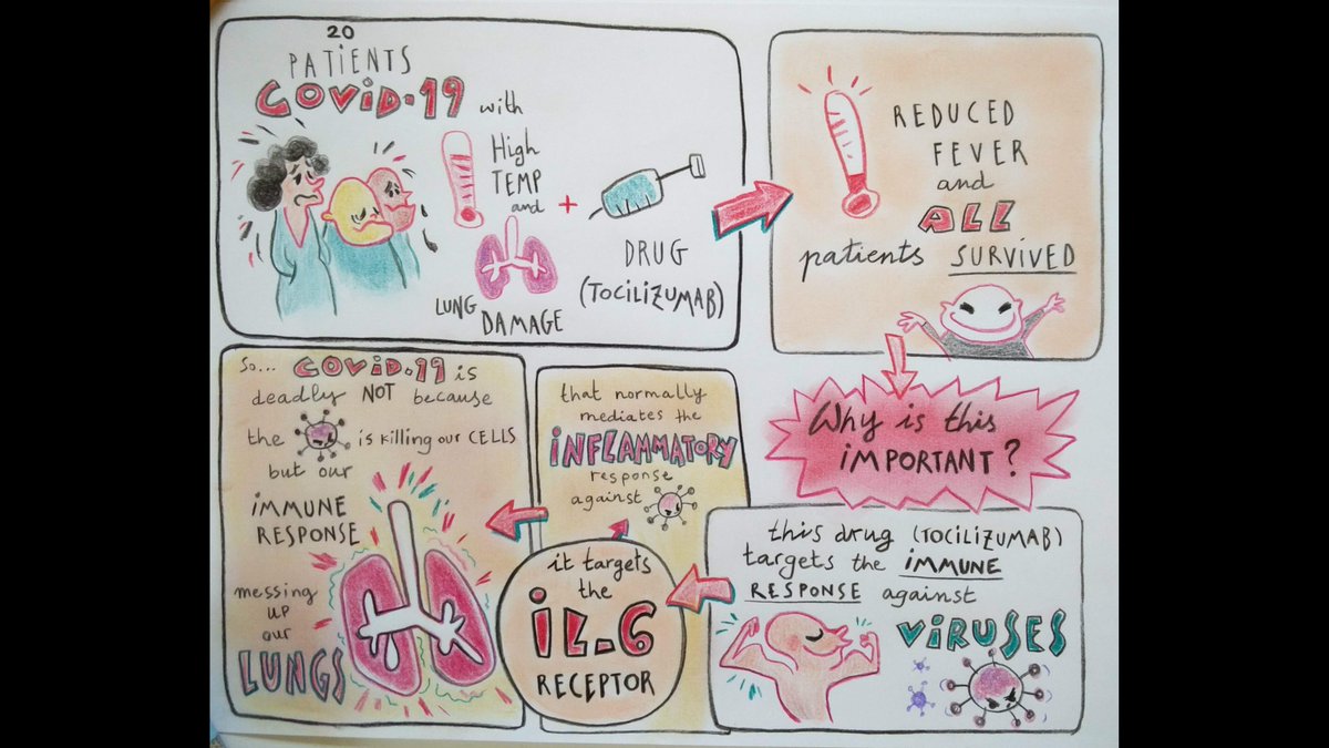 pj_saez's tweet photo. #Covid_19 
@immunosoni (#WomenInSTEM) started a series of graphical abstracts to explain #coronavirus related #science facts.

The 1st one here 👇🏽 about the role of fever during #SARSCoV2 infection

#ScienceForThePeople #scicomm 
CC @VirusesImmunity @NicolasManelLab @mgentili_ https://t.co/ef7740M46d